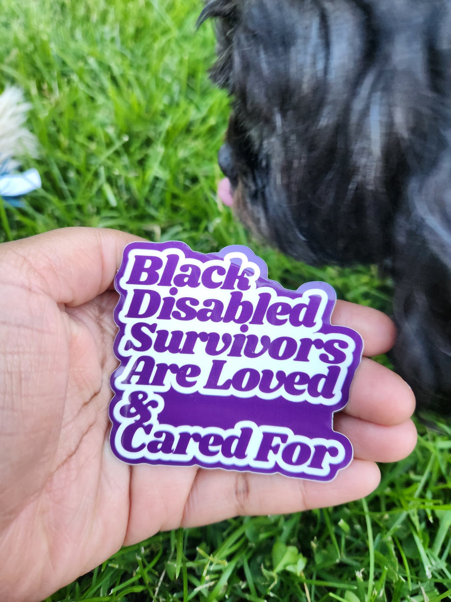 Black Disabled Survivors